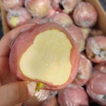 京鲜生 山西冰糖心苹果 净重4.5斤 单果80mm+ 生鲜水果源头直发