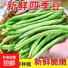 京喜 新鲜现摘四季豆角带箱2斤