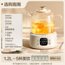 国家补贴、PLUS会员：小熊 全玻璃养生壶 1.2L YSH-E12S2