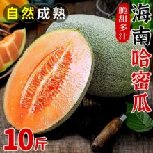 春福乐 海南哈密瓜 网纹玫珑西州蜜瓜 5斤精选装 净重4.5斤