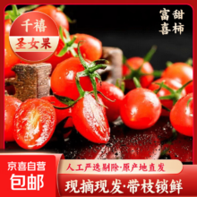 广西红色圣女果小番茄 新鲜水果沙拉 5斤装 净重4.5斤 单果6g+