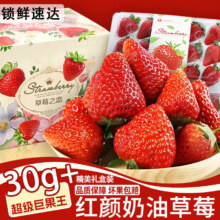 甜萌果蔬 四川奶油红颜草莓 2斤装 净1.1kg 单果12g-15g 特惠精选果