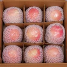 萧鲜生 陕西红富士苹果4.5斤【80-90mm+】特大果