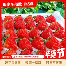 大凉山 红颜草莓99牛奶油草莓 2斤礼箱装 单果8-12g 净重1.5斤