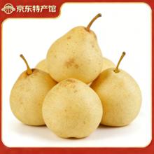 魏县魏品优选 精品鸭梨 5斤带箱 大果