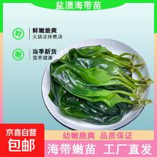 京喜 头水海带嫩苗 500g*1