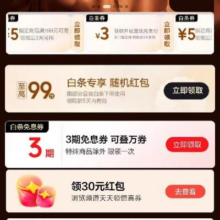 京东 大牌免息 领满19-1/49-2/99-3/199-5元 白条支付券+3期白条免息券