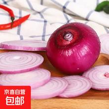 新鲜红洋葱 500g 食品生鲜