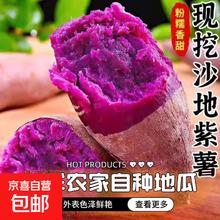 京喜 正宗沙地 精品紫薯 2斤 中果 产地直发