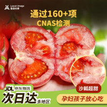 薯小哥 沙瓤西红柿 普罗旺斯番茄 5斤