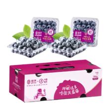 佳沃（JOYVIO）云南蓝莓14mm+ 4盒礼盒装 约125g/盒 新鲜水果