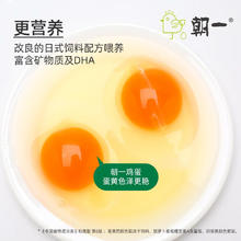 喵满分 可生食鸡蛋40个