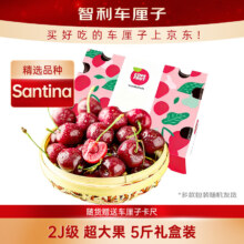 京鲜生 智利进口Santina车厘子2J级5斤礼盒装 果径约28-30mm 赠送卡尺