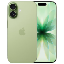 Apple iPhone 17 手机 双卡双待 鼠尾草绿色 256G