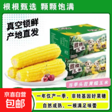 开源保丰 新东北黄糯玉米棒 头茬4根均重>180g 真空装新鲜早餐代餐
