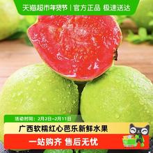 胡鲜森 福建红心芭乐 1500g