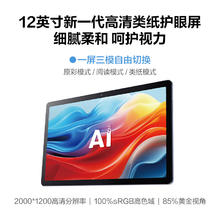 国家补贴：科大讯飞 人工智能学习机 P30 Turbo 12英寸