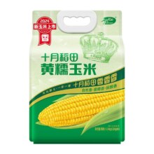再降价：十月稻田 黑糯玉米 220g×8支 2025年新玉米 含花青素