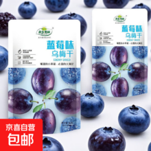 营养维C蓝莓味乌梅果脯 1袋 养颜养阴清热