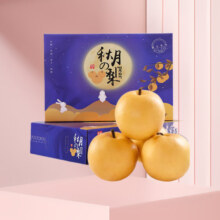 古寨山 秋月梨 整箱新鲜水果 脆甜薄皮超大果 农家现摘 净重4.5斤