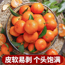 限移动端、京东百亿补贴：泰汇吃 JD配送广西砂糖橘 整箱5斤精选中果净4.5斤