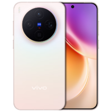 vivo X300  12+512G