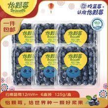 怡颗莓 云南蓝莓12mm+ 6盒装 约125g/盒