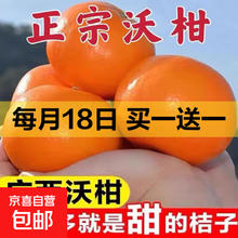 正宗广西沃柑 新鲜大果 2斤*2件（买一送一）