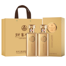 五粮液 财富人生 52° 浓香型 500ml 2瓶