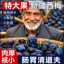 绿山情 大颗粒西梅干 500g