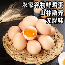 五谷土鸡蛋 50g*10枚