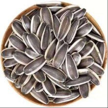 内蒙古葵花籽生瓜子 大颗粒炒货 500克/袋*1