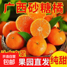正宗广西桂林砂糖橘 新鲜当季水果 薄皮少籽多汁 砂糖桔 带箱5斤