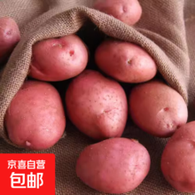三人团：新鲜红皮土豆黄心马铃薯 现挖大果 带箱1斤