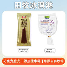 田牧 鲜奶冰淇淋 12支金钻巧克力可可脆皮雪糕+18蓝莓风车冰激凌冰棍T8
