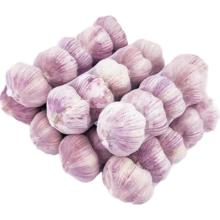 东东买菜 足干2025大蒜头 网兜装 6头185g 紫白皮红皮蒜子 特级新鲜
