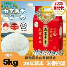 十月稻田 五常大米10斤