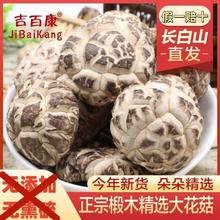 吉百康 东北长白山正宗椴木大个花菇干货香菇蘑菇无添加批发冬菇新鲜肉厚