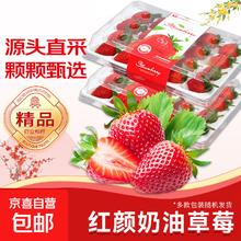 草莓礼盒装红颜奶油草莓宁玉天仙醉新鲜水果阜阳文集草莓 4盒礼箱装 单盒净重（单果12g+）