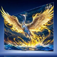 PLUS：FFALCON 雷鸟 鹤6 Ultra 75英寸电视 75S595C Ultra 固定挂架送装一体