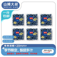 山姆大叔 金奖蓝莓 云南花香蓝莓礼盒 单果15-18mm 6盒净600g