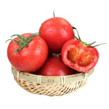 京农超 正宗攀枝花 西红柿新鲜生吃 净重 4.5斤 单果100-140g 大果