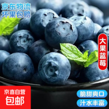 云南国产超大果蓝莓 4盒装 70-90g/盒 中果 单果15mm+