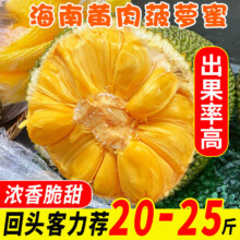 粤迎 海南菠萝蜜 整个新鲜黄肉热带水果 20-25斤 爽脆香甜 闪送多地次日达