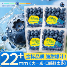 山姆大叔 云南高山蓝莓王 15mm+ 125g*4大盒 净400g 精品果