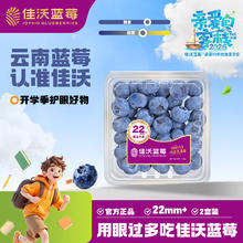 佳沃 云南蓝莓 巨大果22mm+ 2盒装 约125g/盒 新鲜水果
