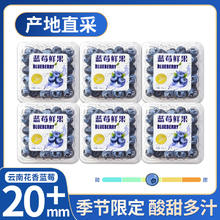沐小七 花香蓝莓 精品果 125g×4盒 净400g 单果12-15mm
