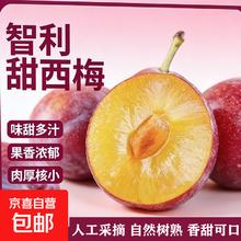 智利进口西梅 法兰西脆甜李子 新鲜时令水果 净重250g 需放软后食用