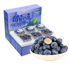 京格 蓝莓 100g*6盒 果径12-14mm 现摘现发 特级酸甜