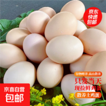 新鲜谷物土鸡蛋 50g±5g 农家散养 10枚 现捡现发破损包赔
